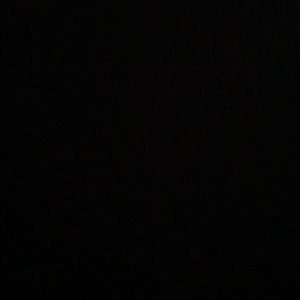 Meet your Posher, Abigail